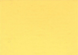 1981 International Saffron Yellow